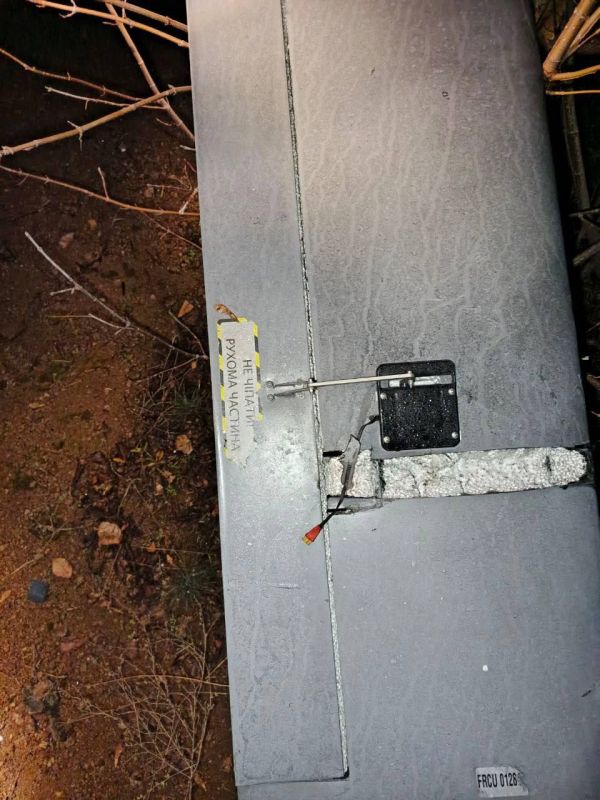 ���� ����������� ���� ���� � ��������� � �������� ��������