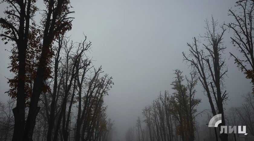Синоптики прогнозируют 7 декабря в ЛНР до 4 градусов тепла, туман, гололедицу