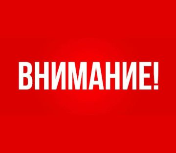 ВНИМАНИЕ ВОЛОНТЕРАМ И НЕРАВНОДУШНЫМ К БЕЗДОМНЫМ ЖИВОТНЫМ ЛЮДЯМ!