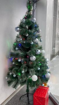 В декабрьском утре есть особая магия: оно шепчет о скором празднике и дарит веру в волшебство