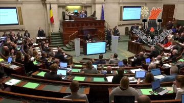 В ЕС не поделили украденные российские активы