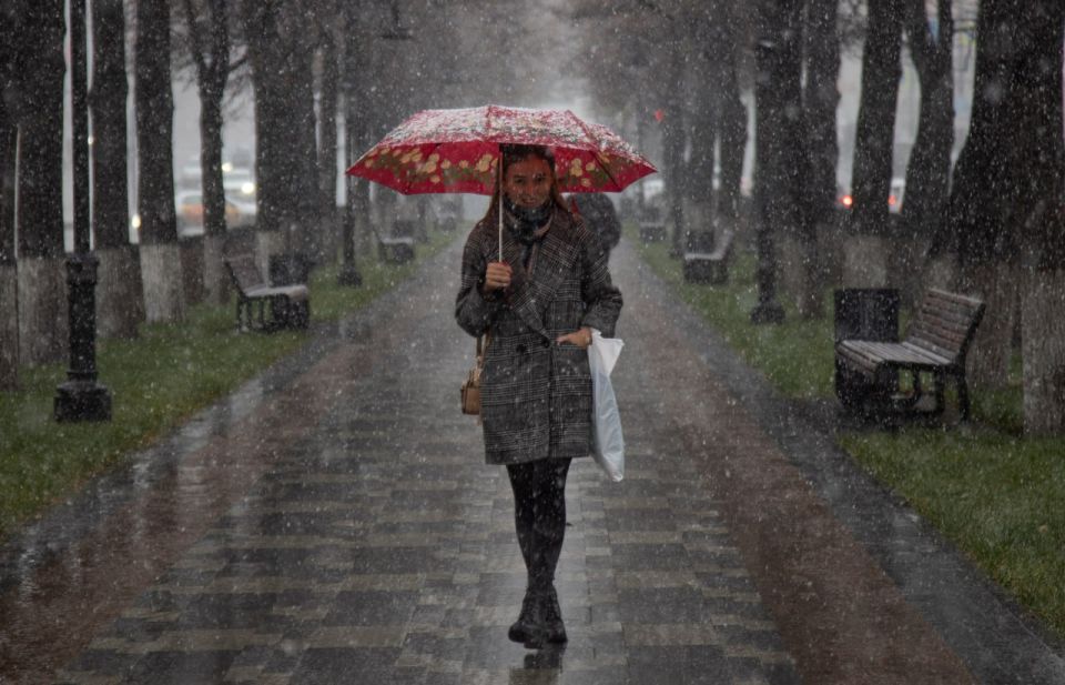 � ��� � �������, 6 �������, ���� ��������� �� 5 �������� �����