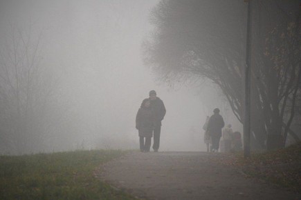Жителей ЛНР предупредили о тумане, гололеде и сильном ветре 8 декабря
