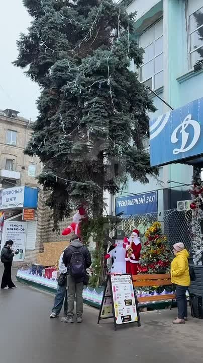 Новый год близко: территория у кофейни на остановке «Динамо» в Луганске стала будто сказочным домом Деда Мороза