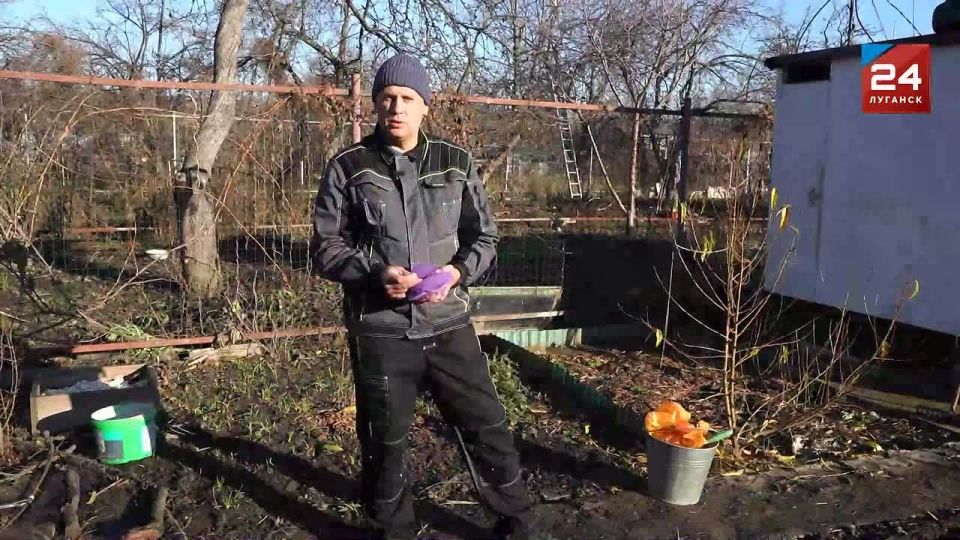 В Республике наступило время для подзимнего посева овощных культур