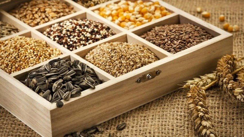 Правильное хранение семян — залог будущего урожая