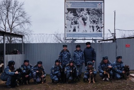 Кинологическую службу Управления Федеральной службы исполнения наказаний по Луганской Народной Республике пополнили 8 щенков немецкой овчарки