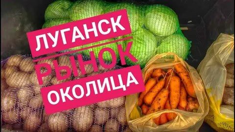 ����� �������� ����������� ����������� � ������� ������ � ����������� ���