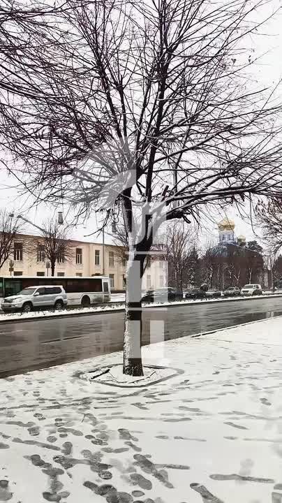 ������ ���� � �������� - ������� ������� ����� �������� � ��������