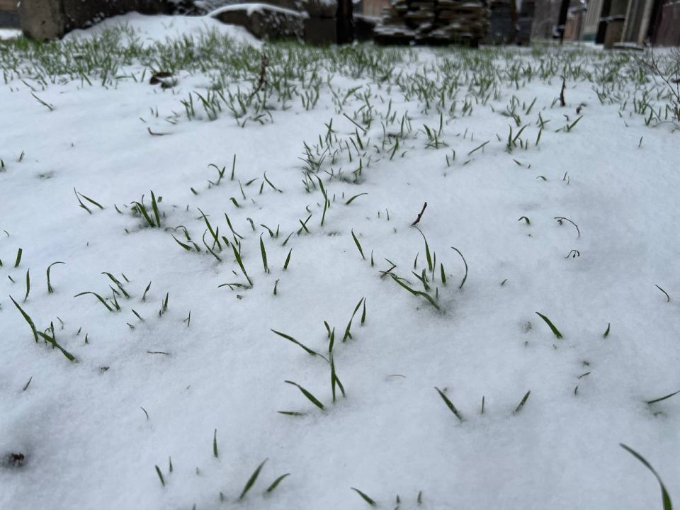 � ��� ��������� ������, ������� � ���������� �����