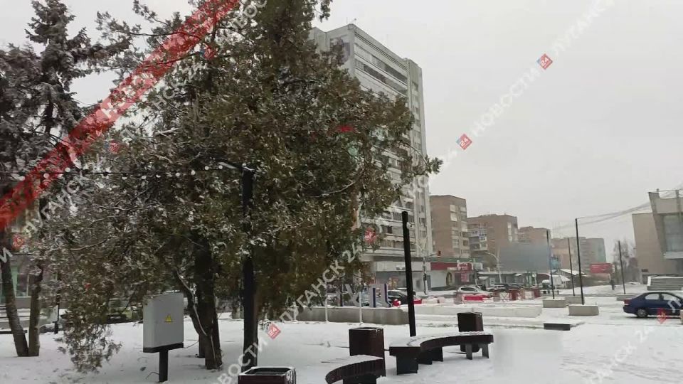 � ������ �������� ���������� �������� ������� ���������� ���� ����������