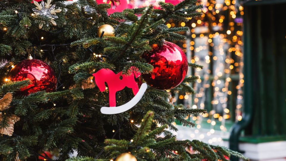 "�������� - �������. ��������� - �������": ��������� �����-��������� ���������� �������� ��� ����� � ����������