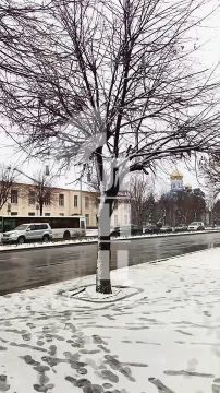 Первый снег в Луганске - сегодня главный герой пабликов в соцсетях