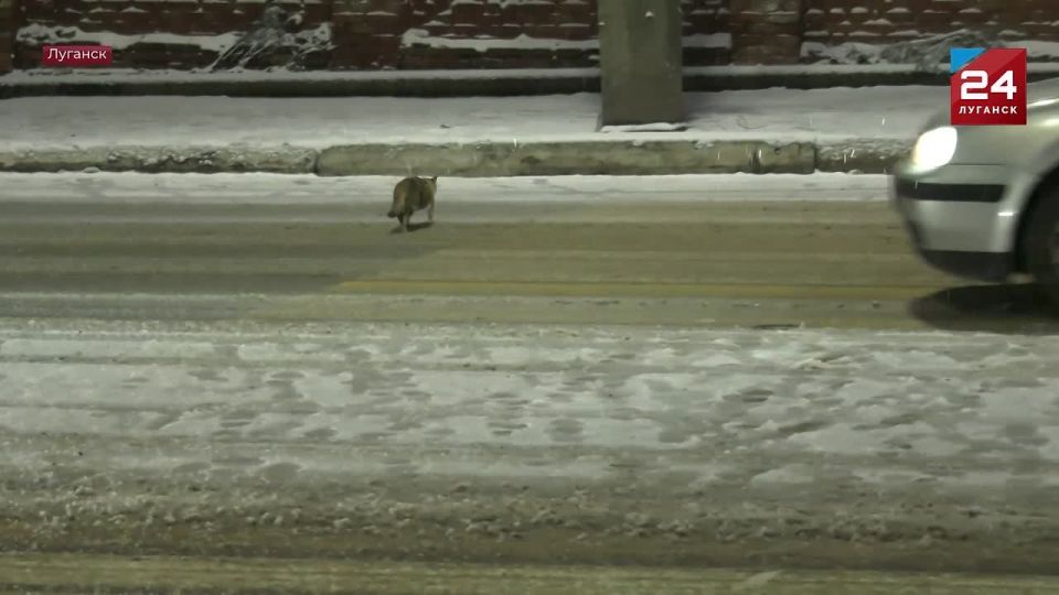 ���� � ������ ����� 1 ��� ����� ��������