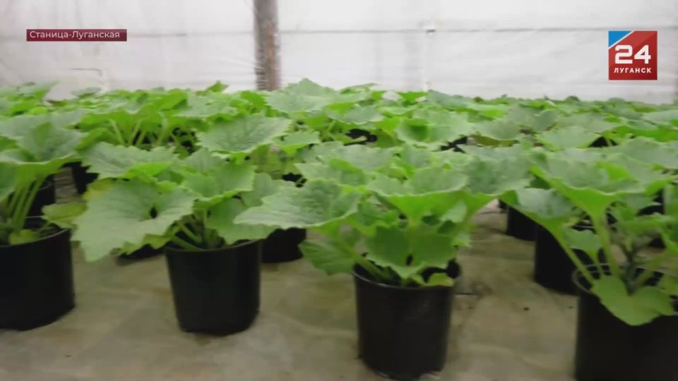 ����� ��������� ��������� ����� ����� ��������� ����������� ���������