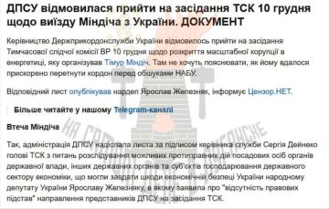 Украинские пограничники не комментируют побег из страны Миндича, приближенного к Зеленскому