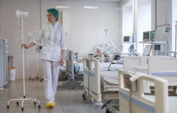 В ЛНР приняли долгосрочную программу содействия занятости молодежи до 2030 года