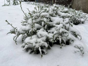 Гололедица и мокрый снег ожидаются в ЛНР 10 декабря