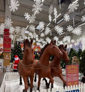 Декабрьское утро – время подведения итогов и зарождения новых надежд