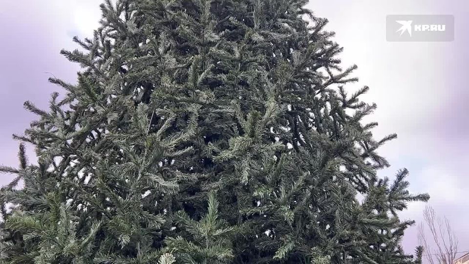 ����������� � ��������: � �������� ������� ��������� ����� ������� 19 �������