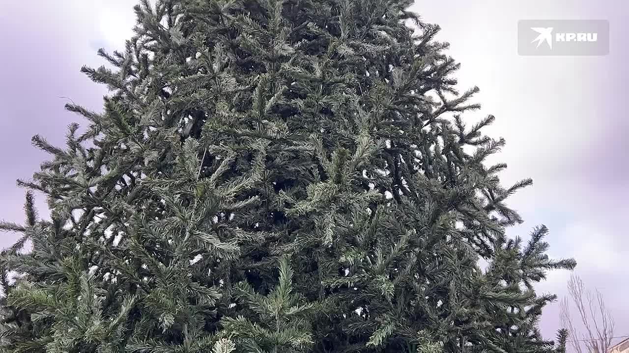 Прокатиться с ветерком: В Луганске главный городской каток откроют 19 декабря