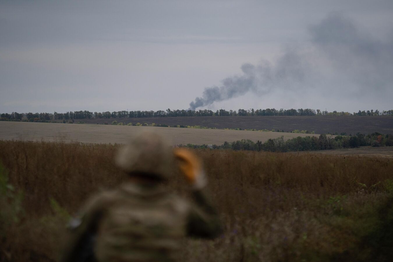 Одиннадцать боевиков ВСУ внесли в перечень террористов и экстремистов