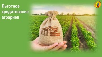 Льготное кредитование для аграриев ЛНР: от точечной поддержки к системному развитию отрасли