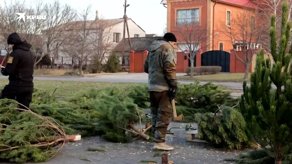 � �������� ��������� �������� ���������� ����