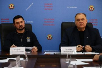 В Народном Совете обсудили перспективы экономического развития республики на международной арене