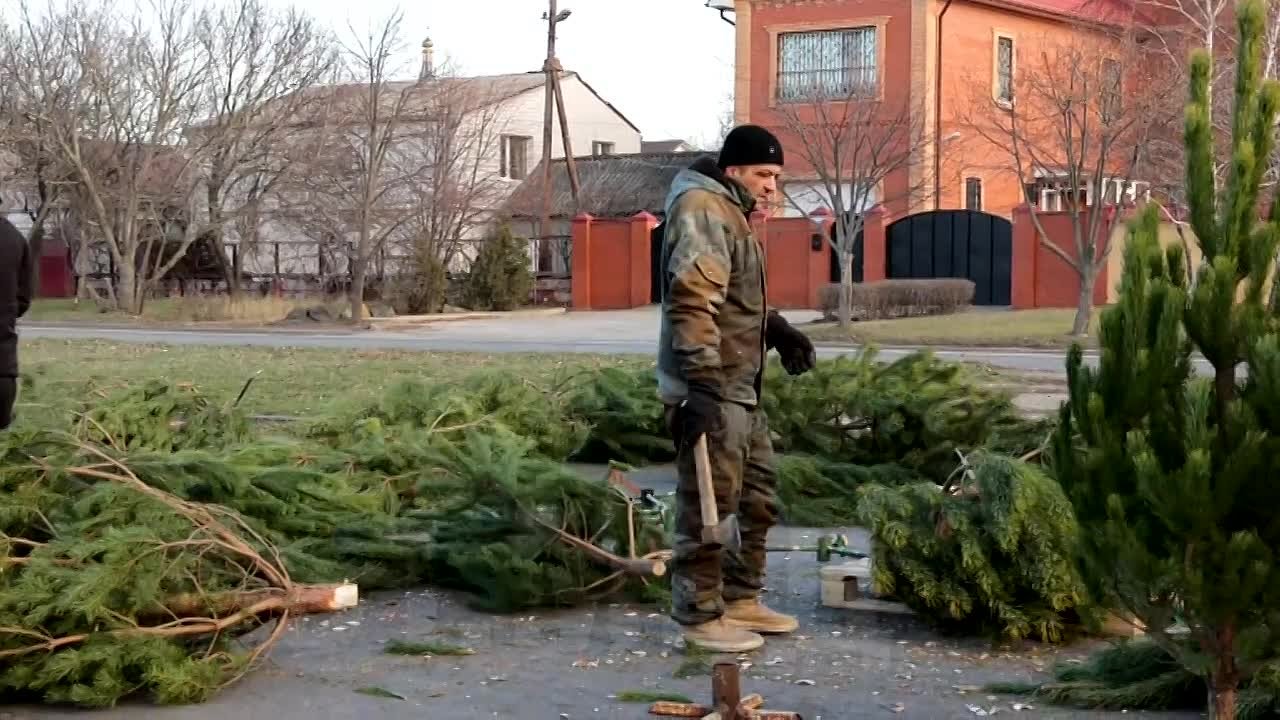 В Луганске задержан продавец елок за незаконную торговлю