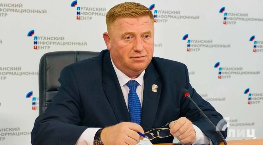 Количество бездомных собак на территории ЛНР превышает десятки тысяч