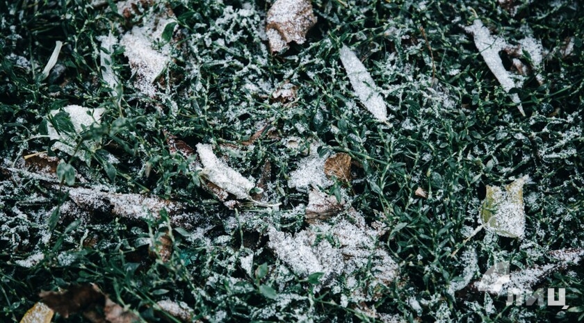 Синоптики прогнозируют 18 декабря в ЛНР до 5 градусов тепла, туман, гололедицу