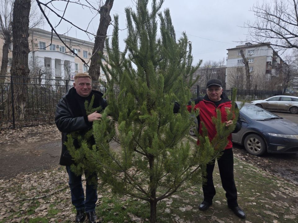 �� ���������� ������ ���������� ����������! ������ � ���� ��������, ������������ ������������ ��������� ������ ��� ������� ������������, ��������� �������� ����� ���� � ��� ������ ���������� ���������� ����������