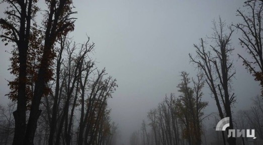 ��������� ������������ 21 ������� � ��� �� 4 �������� ����� � �����