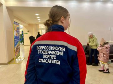 Новогоднее чудо под чутким присмотром