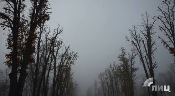 Синоптики прогнозируют 21 декабря в ЛНР до 4 градусов тепла и туман