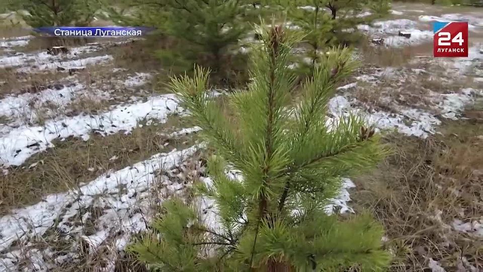 Преображают Республику не только строители