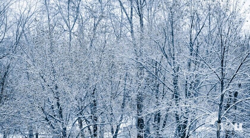 ��������� ������������ 22 ������� � ��� �� 4 �������� �����, ������� ����