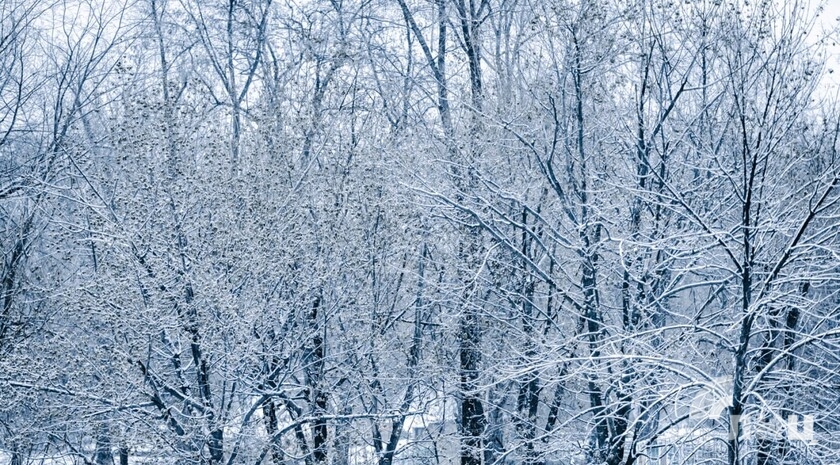Синоптики прогнозируют 22 декабря в ЛНР до 4 градусов тепла, местами снег