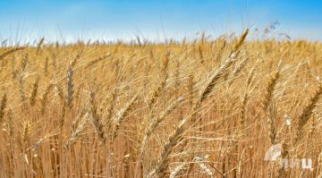 ��� � 2025 ���� �������� ����� ������� ����������� �� �������� � �������� � ����������