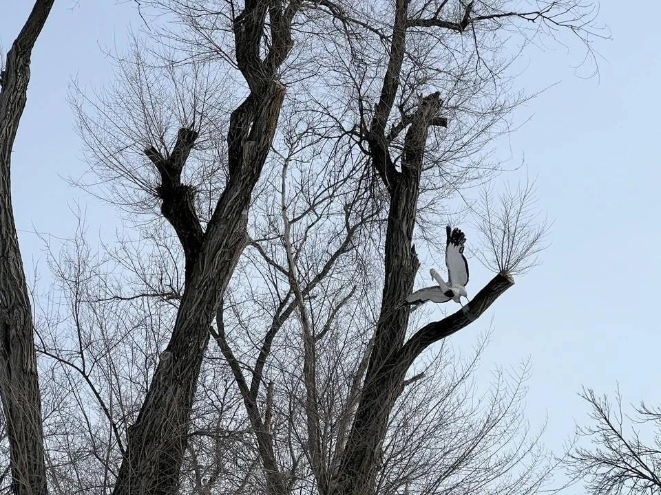 �����, ���� � ���������� ��������� � ��� �������