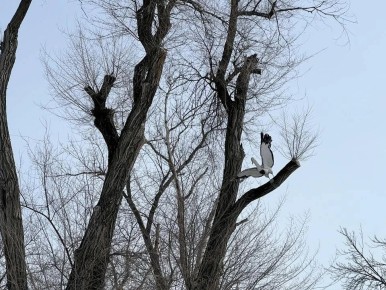 �����, ���� � ���������� ��������� � ��� �������