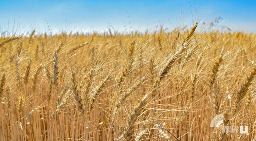 ��� � 2025 ���� �������� ����� ������� ����������� �� �������� � �������� � ����������