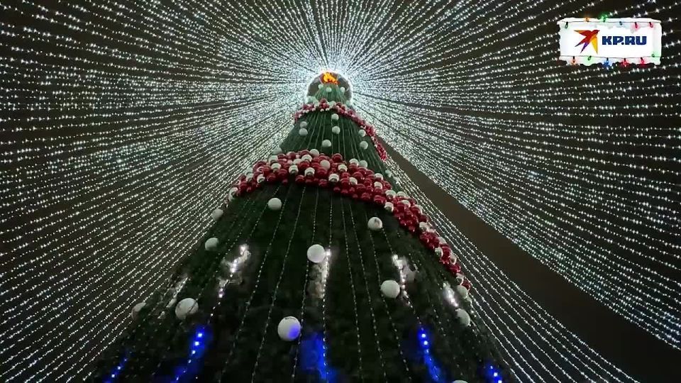 Ёлка в Луганске зажгла огни