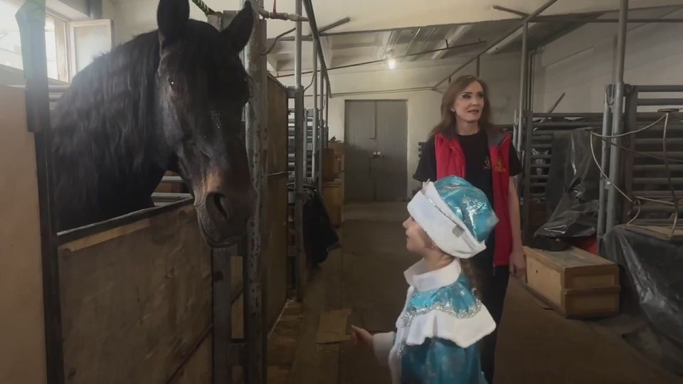 Глава ЛНР Леонид Пасечник исполнил желание юной жительницы Счастья побывать в Луганском Цирке в рамках всероссийской акции «Елка желаний»