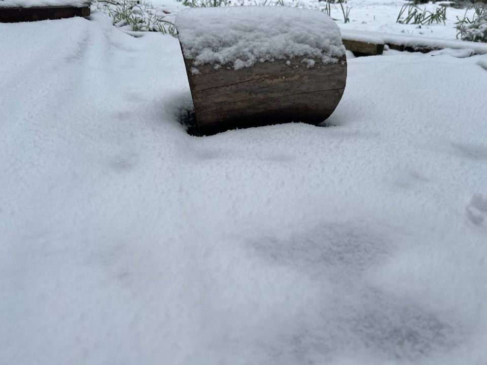 ���� � ���������� �� +2�� ��������� � ���