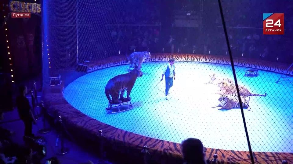 Еще одна мечта ребёнка исполнилась благодаря Всероссийской акции «Елка желаний»