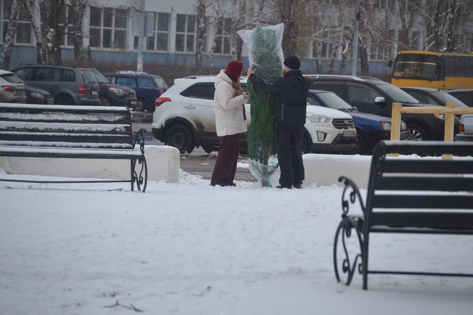 ������ ���� � ���������� ��������� � ��� 29 �������