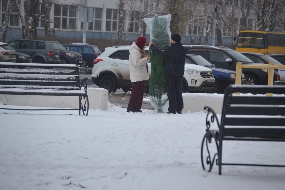 Мокрый снег и гололедица ожидаются в ЛНР 29 декабря