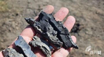 ���� ������ ����������� �������� ���������� � ������� ��� ����� ����� ��Ӡ� �������� ���